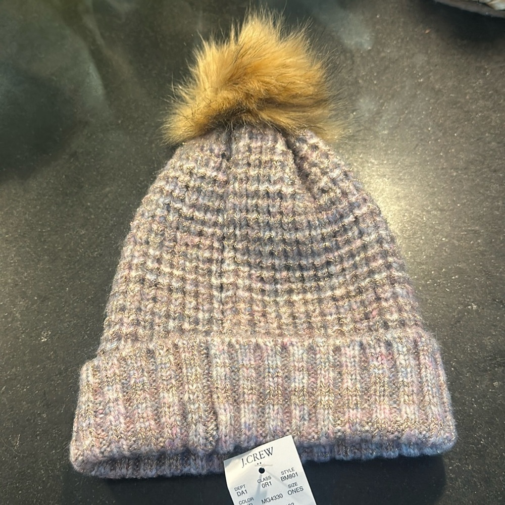 Winter JCrew Beanie